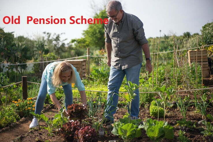 Old Pension Scheme